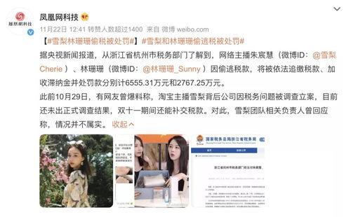 逃税明星网红视频
