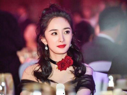 明星网红上节目,精彩节目亮点纷呈