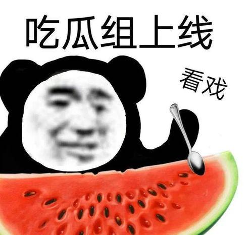 吃瓜爆料就看黑料社区入口,黑料社区入口大揭秘