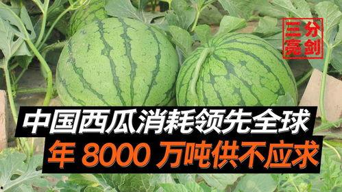 工商爆料王吃瓜是真的吗,王吃瓜事件真相揭秘