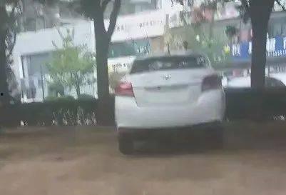 丹东吃瓜最新事件爆料视频,最新爆料视频揭秘惊人内幕