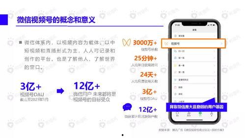 学生爆料吃瓜视频大全下载,学生爆料视频大全下载