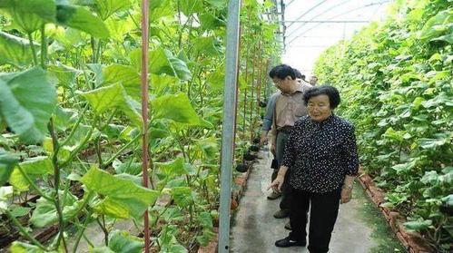 吃瓜视频爆料热门是真的吗,热门事件真相揭秘