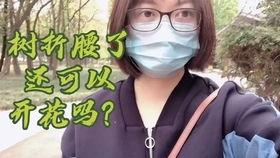51今日吃瓜群众爆料阿朱宿舍,51今日吃瓜群众独家爆料