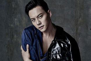 仿真男明星网红,揭秘仿真男明星网红的崛起之路