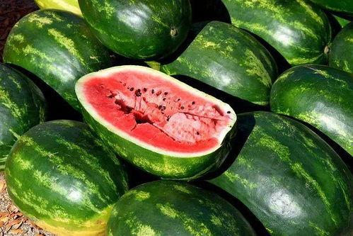 爆料中国吃瓜图片高清视频,高清视频中的全民娱乐现象