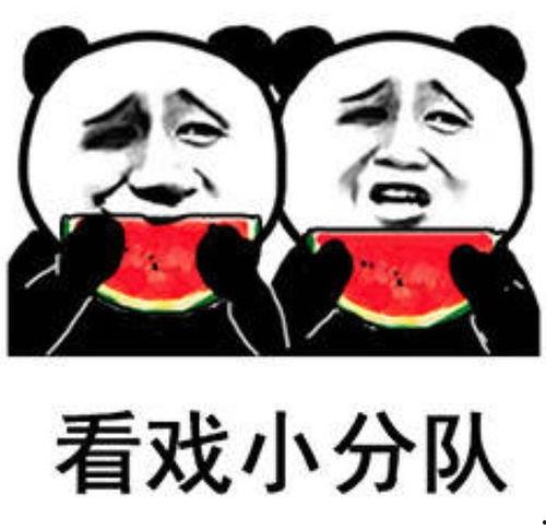 吃瓜爆料图片搞笑表情包可爱,吃瓜表情包里的可爱瞬间