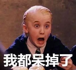 焦哥吃瓜爆料图片表情包,揭秘娱乐圈幕后真相