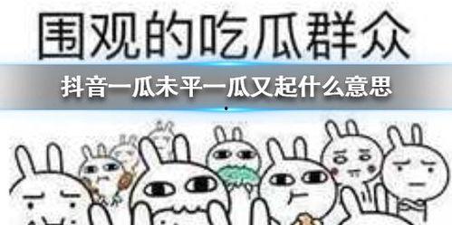 抖音吃瓜爆料什么意思,揭秘网络热点背后的真相