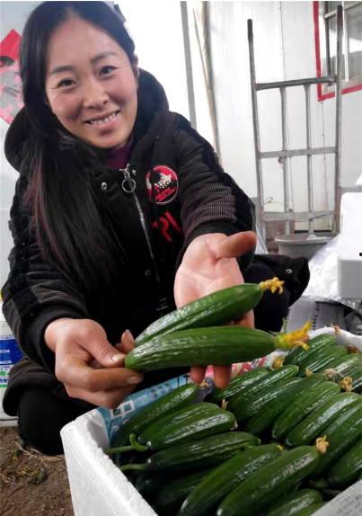 山东临沂吃瓜爆料事件,网络爆料背后的真相与反思