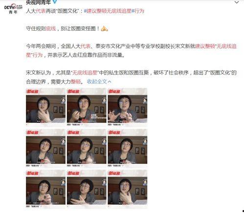 流量明星网红现象,网络时代的璀璨星河