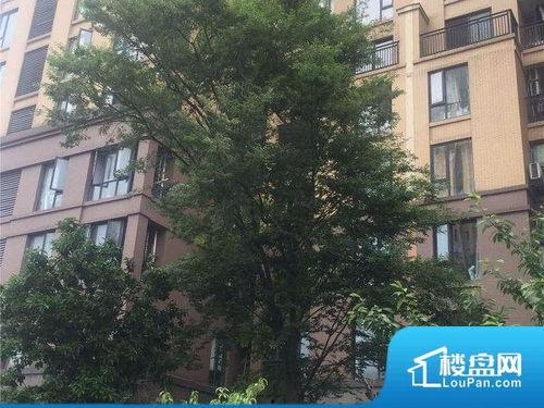 杭州明星网红小区,繁华都市中的璀璨明珠