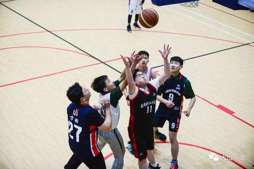 篮球网红吃瓜爆料视频大全,揭秘篮球圈幕后故事大全