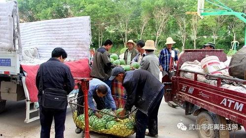 来宾市吃瓜群众爆料案件,吃瓜群众揭秘真相