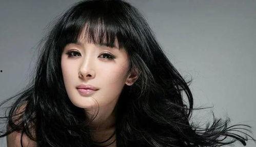 中国网红明星网,揭秘网络红人的崛起与影响力