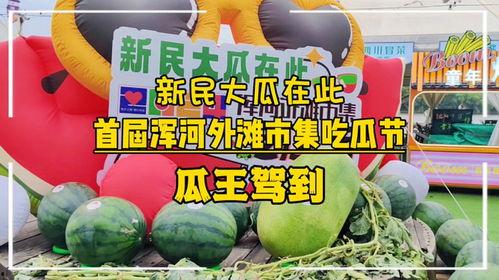 每日大赛吃瓜爆料聚集地,揭秘娱乐圈幕后风云