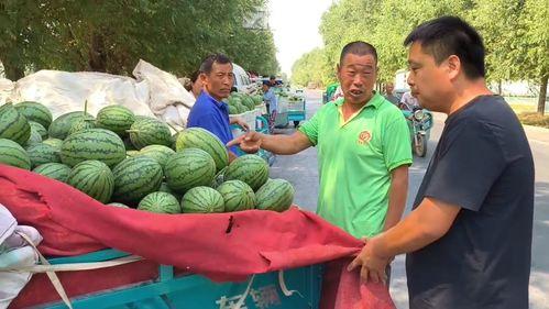 吃瓜网51爆料九台,揭秘娱乐圈背后的惊人内幕