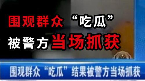 琼海吃瓜最新事件爆料新闻,揭秘最新爆料背后的真相与争议