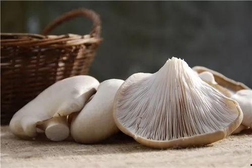 蘑菇视频爆料黑料吃瓜51