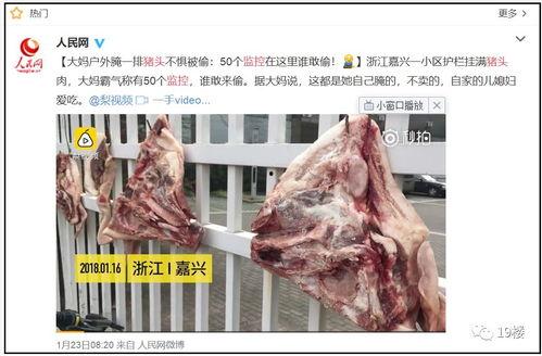 猪头吃瓜爆料图片高清大图