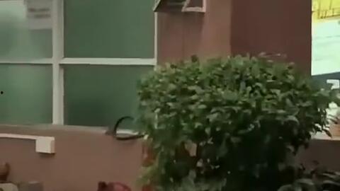 威远吃瓜最新事件爆料新闻,最新爆料揭露惊人内幕