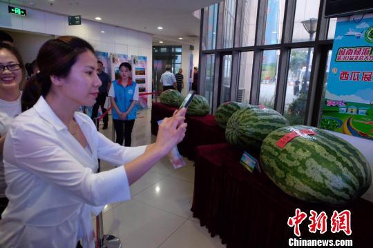 威远吃瓜最新事件爆料新闻,最新爆料揭露惊人内幕