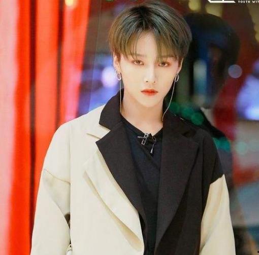 刘什么明星网红,网红明星引领健康生活新风尚