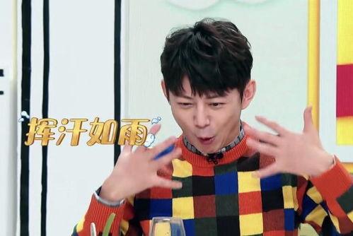 王嘉尔何炅吃瓜爆料,一场吃瓜爆料的狂欢