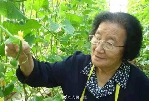濮阳吃瓜爆料女主是谁,揭秘女主角身份之谜