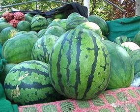 怎么找吃瓜爆料的人群呢,如何精准锁定吃瓜爆料达人