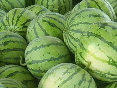 怎么找吃瓜爆料的人群呢,如何精准锁定吃瓜爆料达人