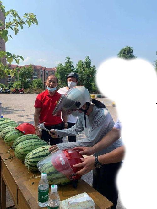 乐亭吃瓜最新事件爆料视频,最新爆料视频揭秘惊人内幕