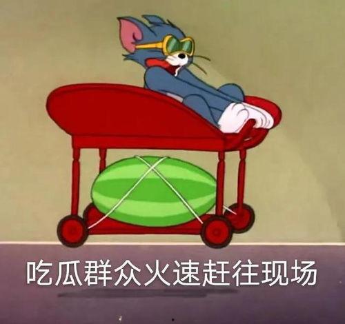 二次元吃瓜爆料,吃瓜爆料揭露神秘事件真相