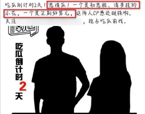 吃瓜爆料张婧仪视频播放,吃瓜群众揭秘幕后真相