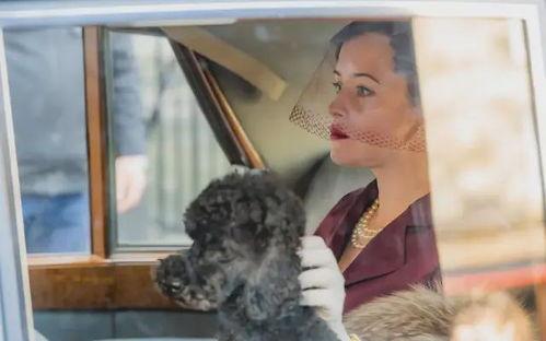 吃瓜爆料渣男渣女小说