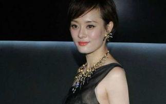 热点近期明星网红,近期明星网红热点盘点