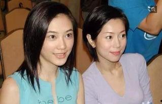 明星网红合照视频,明星网红同框瞬间，精彩瞬间回顾