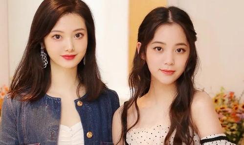 明星网红合照视频,明星网红同框瞬间，精彩瞬间回顾