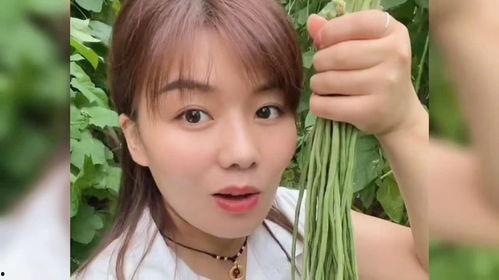 明星网红来菏泽