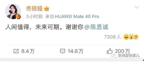 吃瓜娱乐圈文字