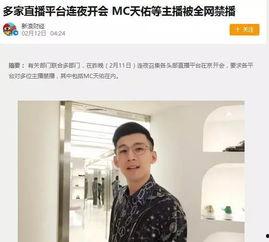 明星网红罚款事件,网络影响力与法律责任的碰撞