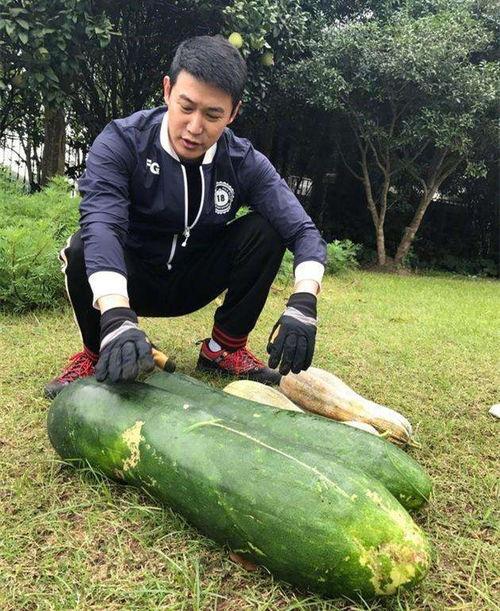 庄寨吃瓜最新事件爆料