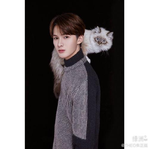 婉婉明星网红,网红明星的璀璨人生