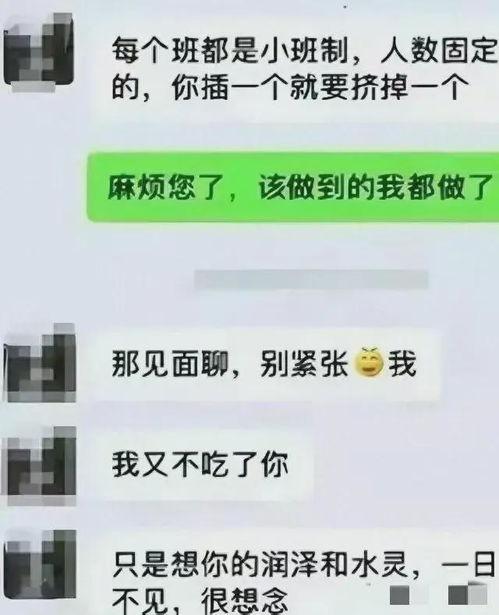 爆料吃瓜聊天记录下载,一场网络爆料的背后真相